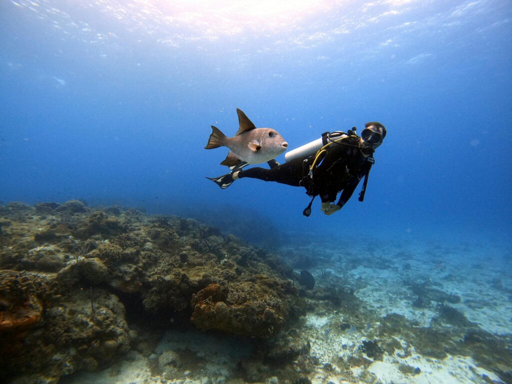A scuba diver swims with a fish near a vibrant coral reef in Cozumel, Mexico's clear waters.